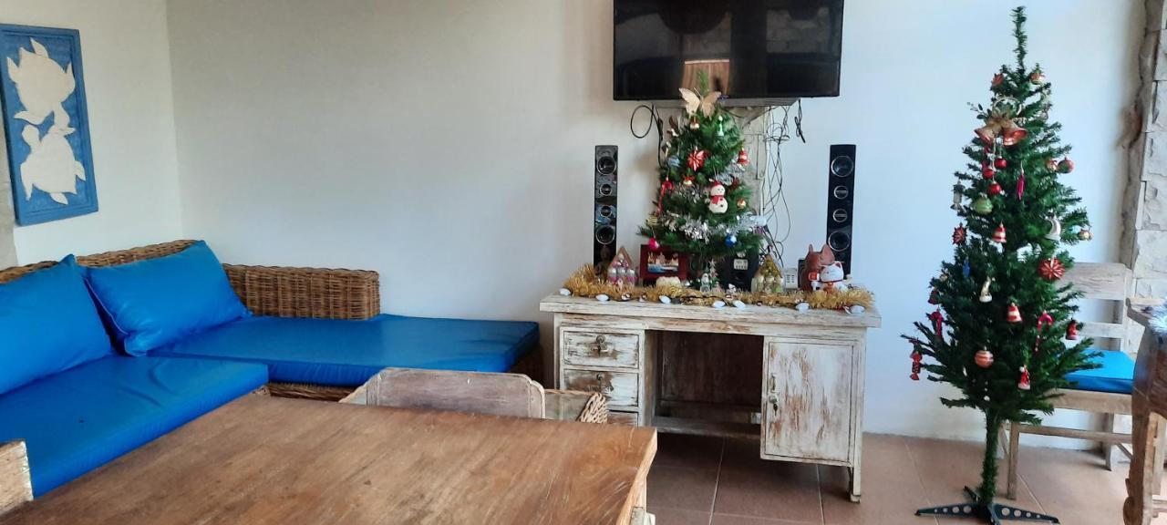 Turtle Island Homestay Sanur Dış mekan fotoğraf