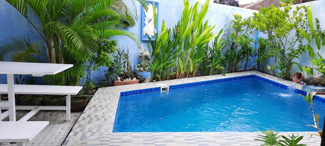 Turtle Island Homestay Sanur Dış mekan fotoğraf