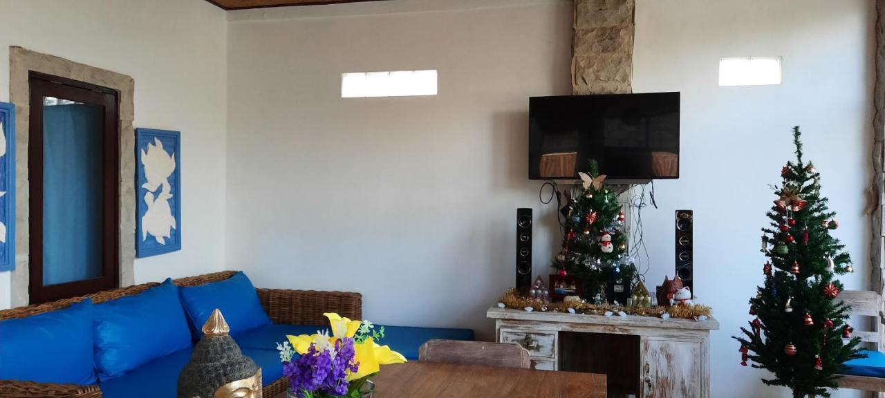 Turtle Island Homestay Sanur Dış mekan fotoğraf