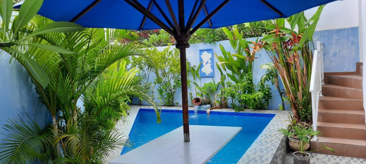 Turtle Island Homestay Sanur Dış mekan fotoğraf