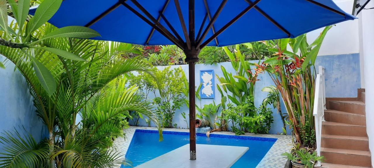 Turtle Island Homestay Sanur Dış mekan fotoğraf
