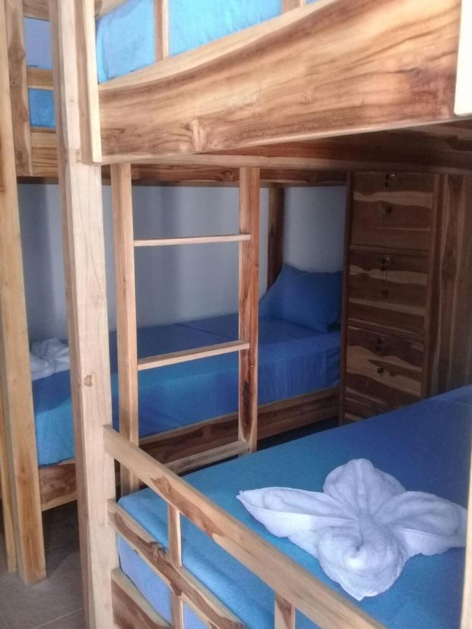 Turtle Island Homestay Sanur Dış mekan fotoğraf