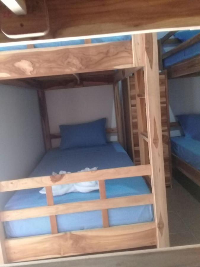 Turtle Island Homestay Sanur Dış mekan fotoğraf