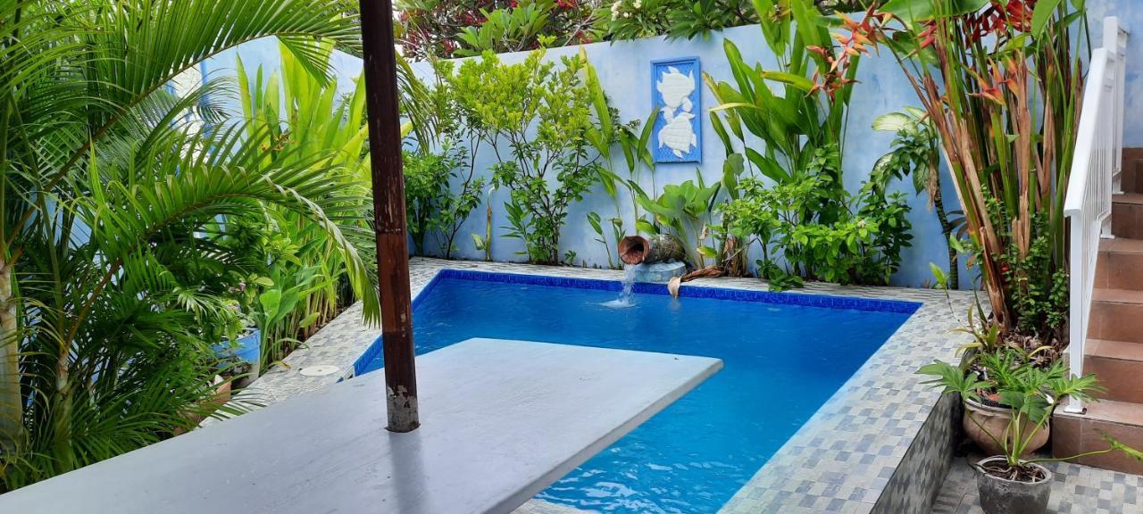 Turtle Island Homestay Sanur Dış mekan fotoğraf
